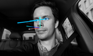 Volvo Driver State Estimation