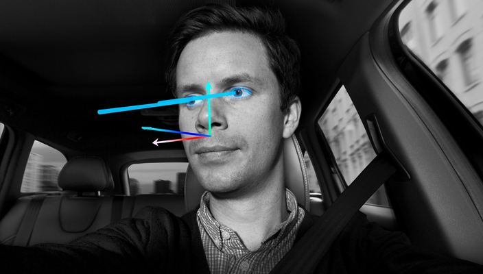 Volvo Driver State Estimation