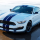 Shelby GT350 Mustang