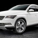 Skoda SUV Coupe